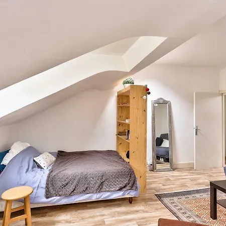 Studio Under Roofs - City Center * נאנט